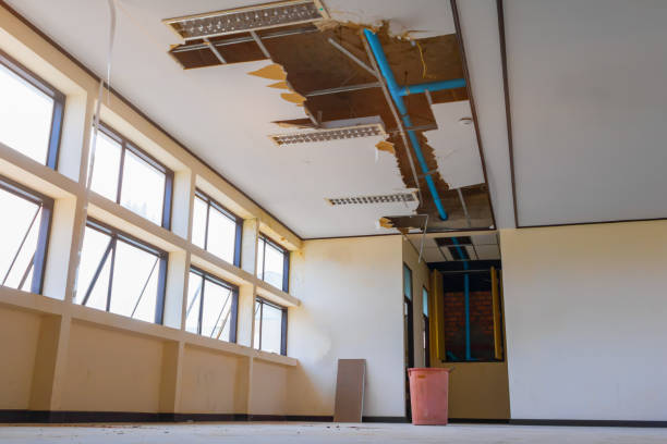 Best Flood damage cleanup  in Riverside, AL