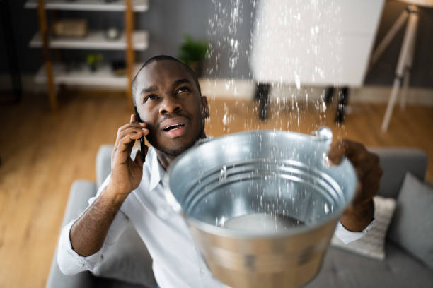 Best Sewage cleanup and water damage restoration  in Riverside, AL