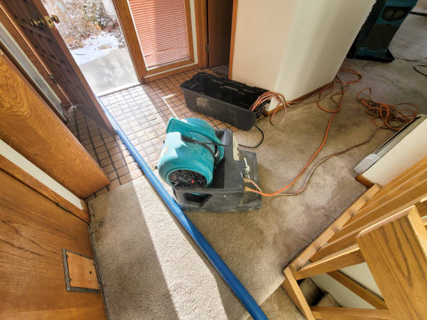 Best Carpet water damage restoration  in Riverside, AL