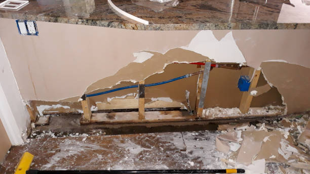 Best Professional water damage repair  in Riverside, AL