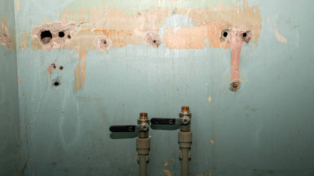 Best Flooded house restoration  in Riverside, AL